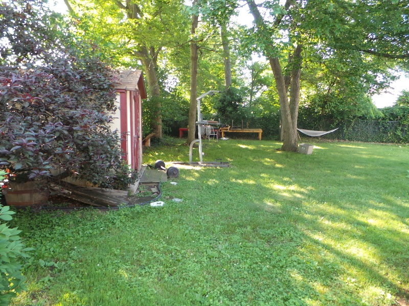 Backyard