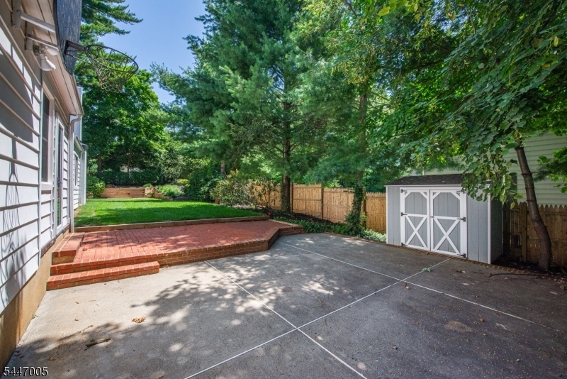 Patio/Backard