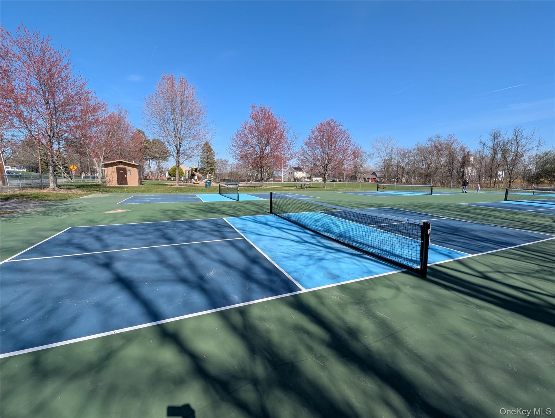 Local public pickleball courts and park.  Photo by Jacob Matthews