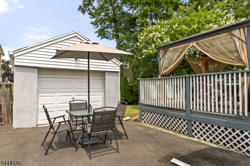 Driveway / Yard