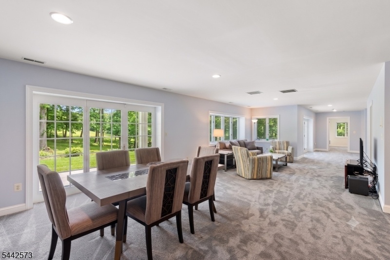 Recreation/Entertainment Room