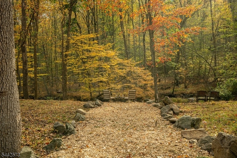 Path to Babbling Brook