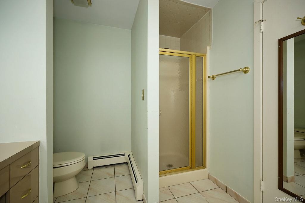 Toilet area and Stall Shower