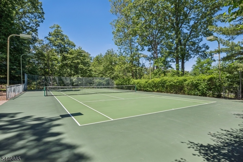 Sports Court