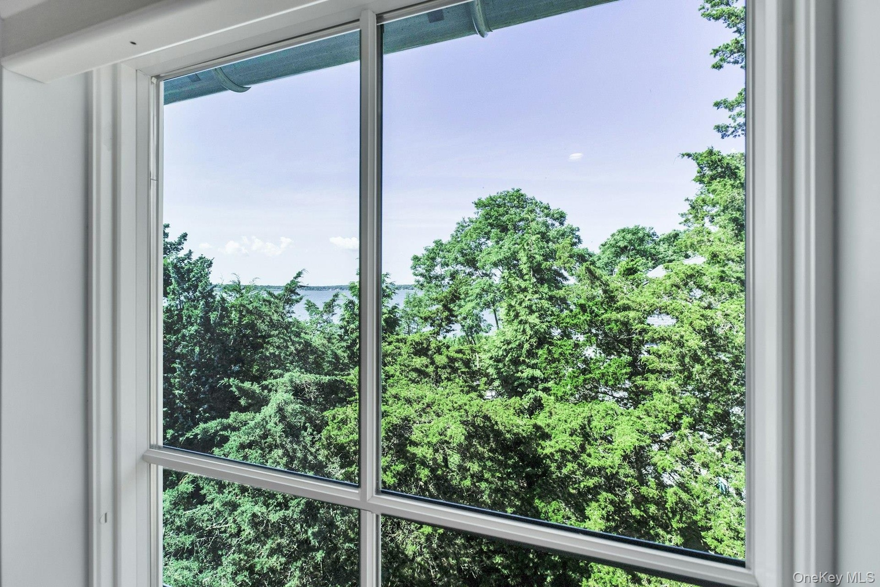 White-framed window with multiple panes overlooking abundant green trees and a body of water