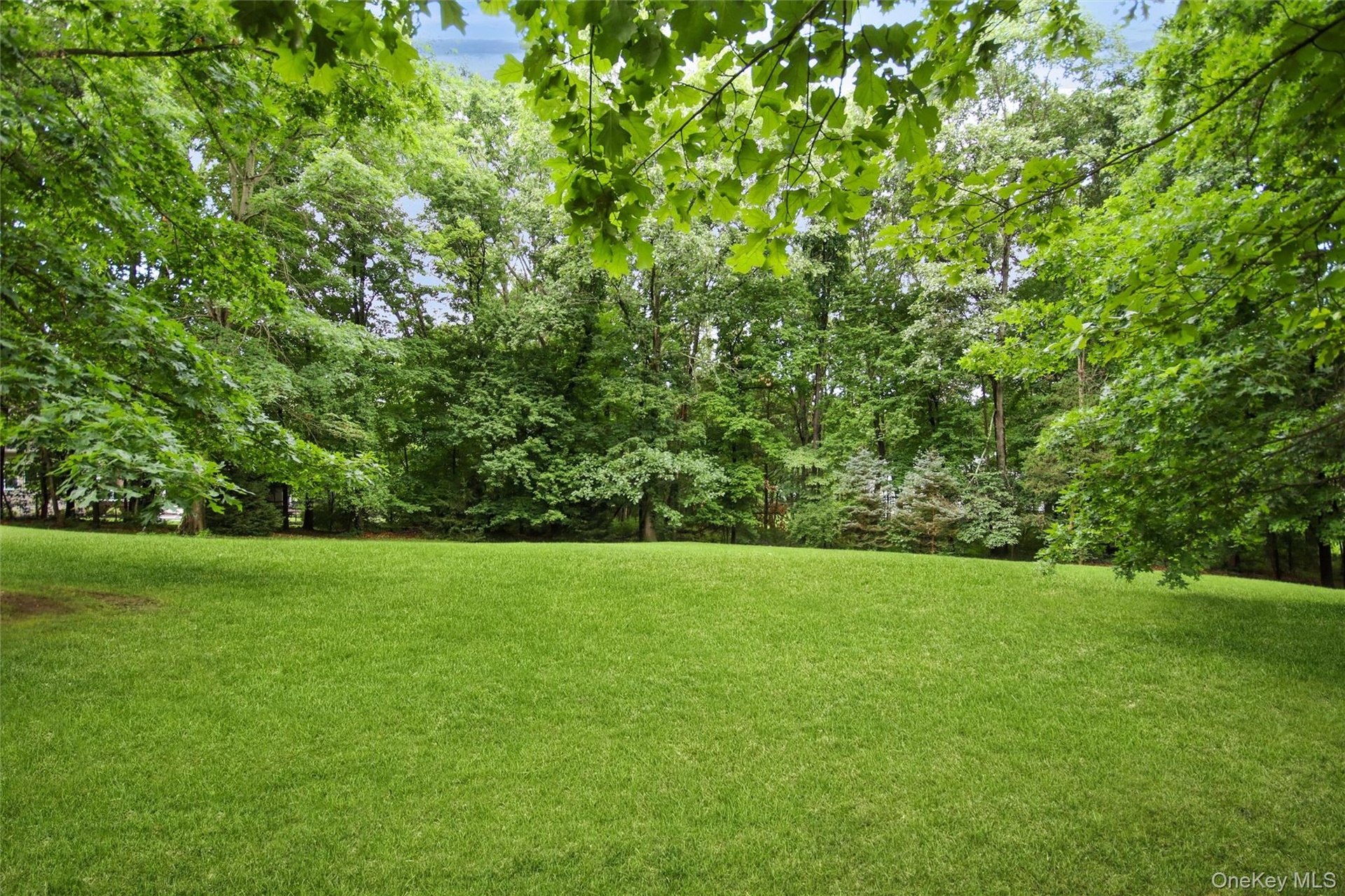 Great private backyard