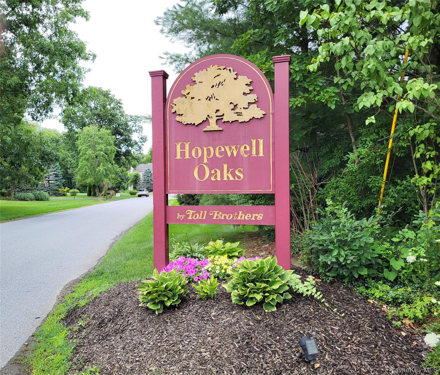 Great Neighborhood, close to everything