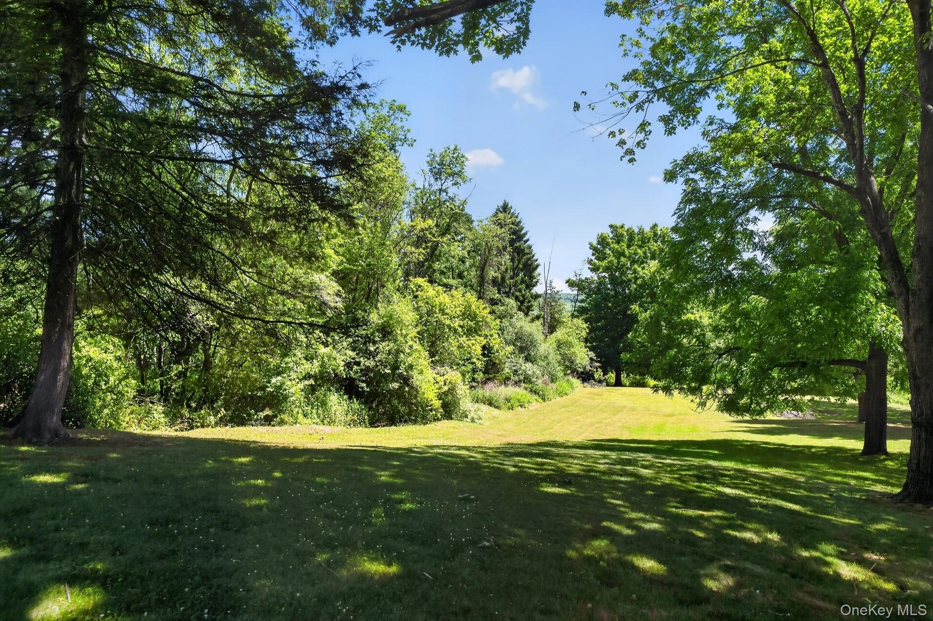 Expansive grassy area featuring mature trees and varied foliage