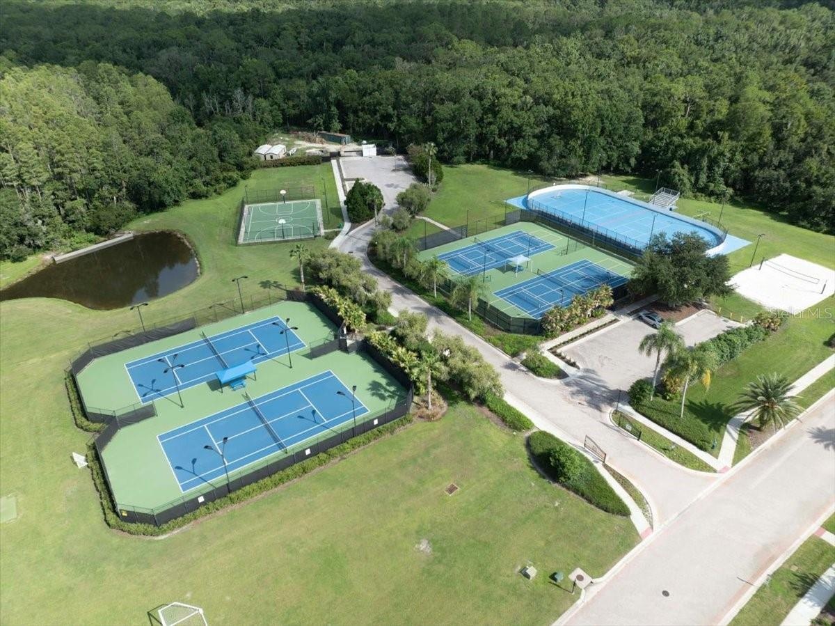 Roller hockey, tennis, basketball, cricket, volley ball......