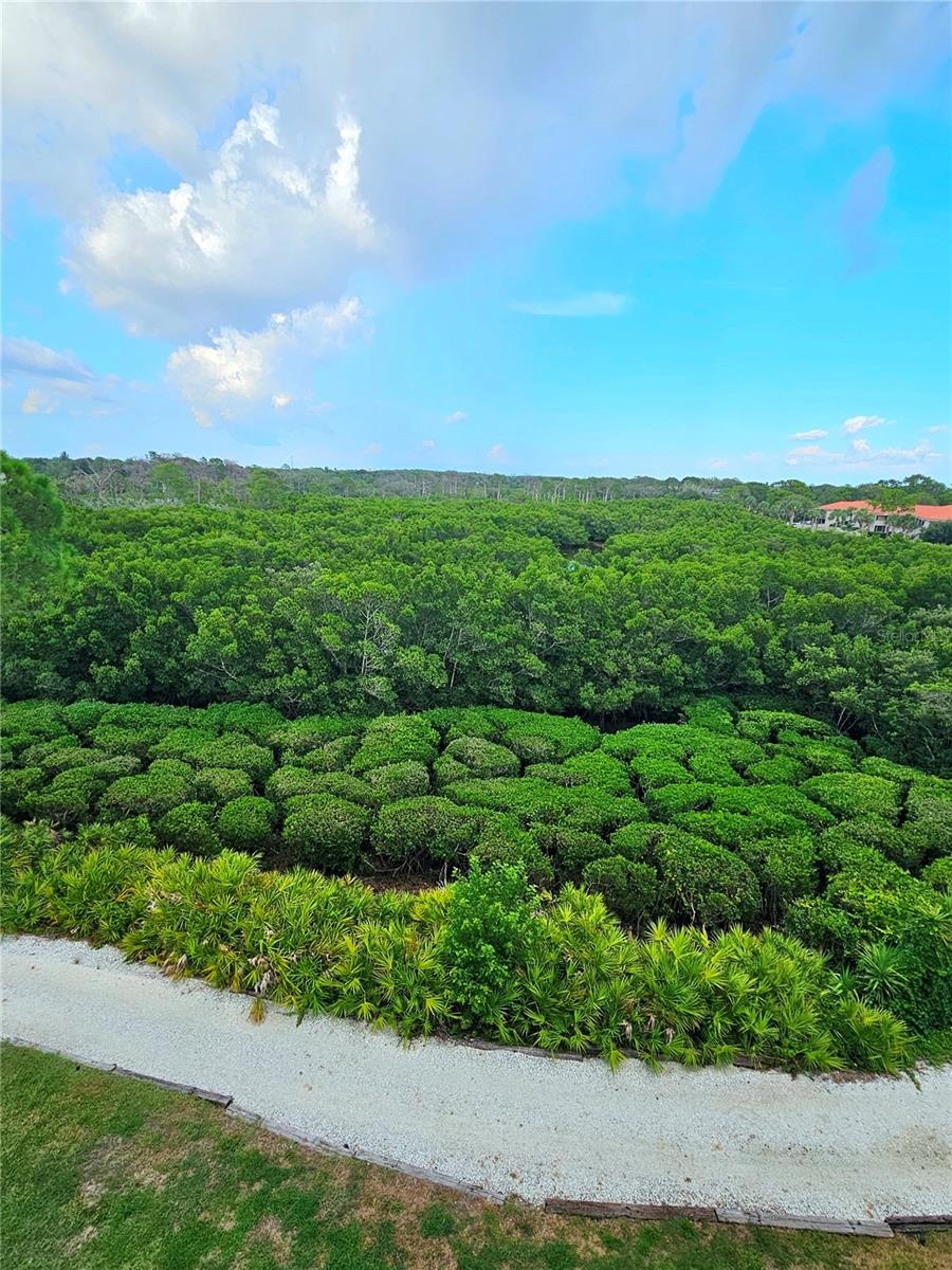 View of Bird Sanctuary and Nature Preserve