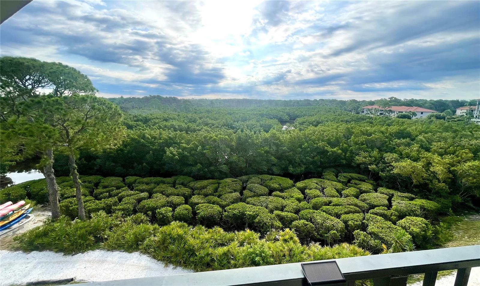 View of Nature Preserve from Balcony