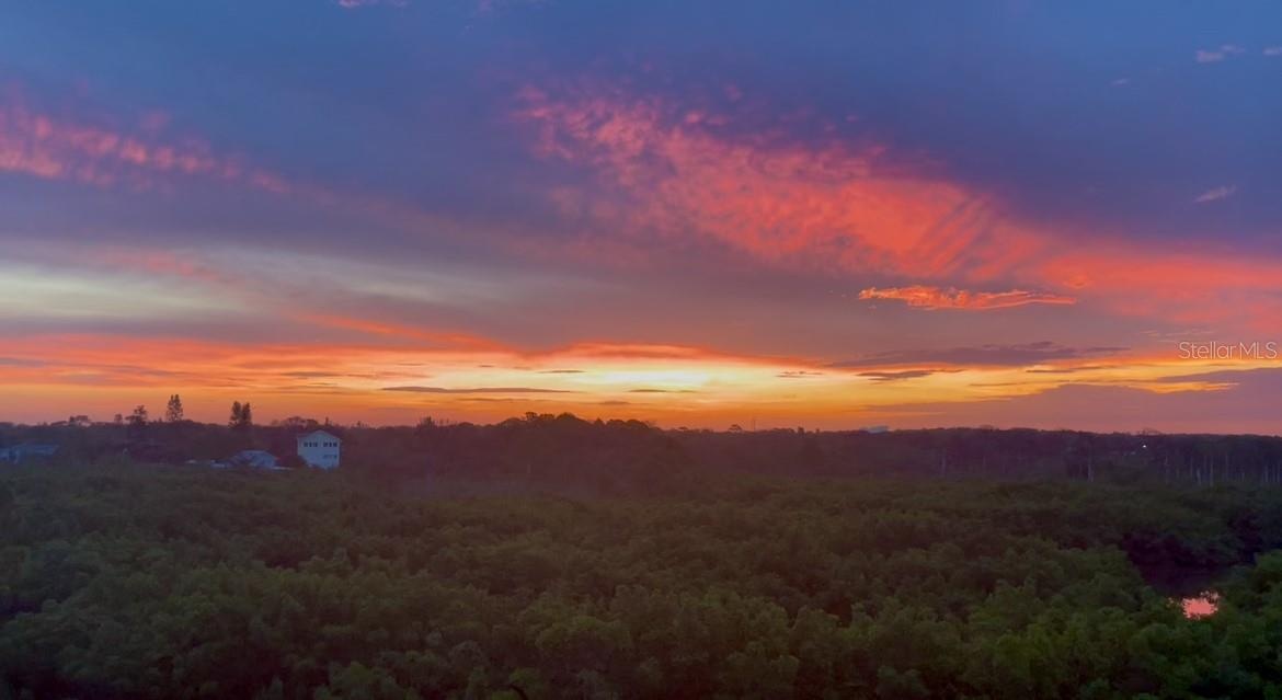Sunrise from unit