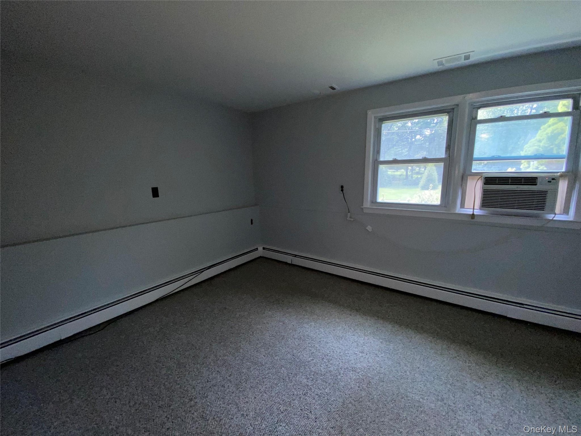 Bedroom #4 on lower level