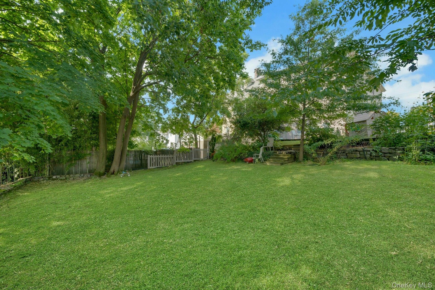 Rear lower yard