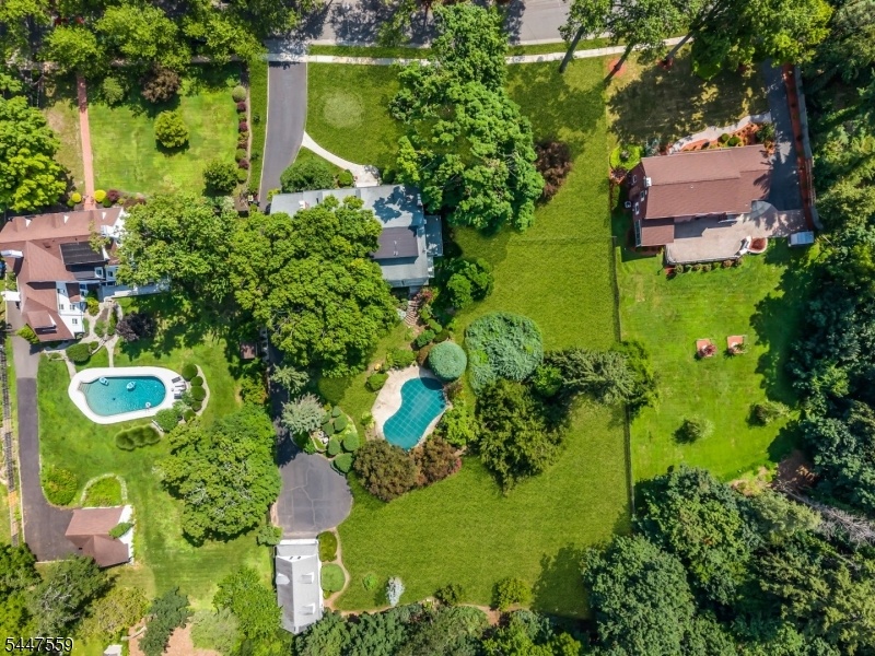 drone view