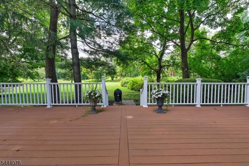 Rear deck facing back yard