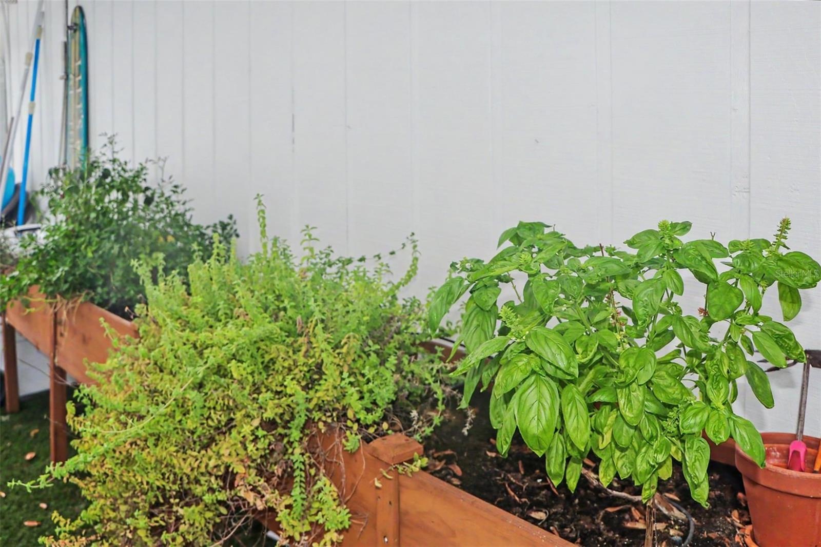 Side of Home - Herb & Spice Garden 2
