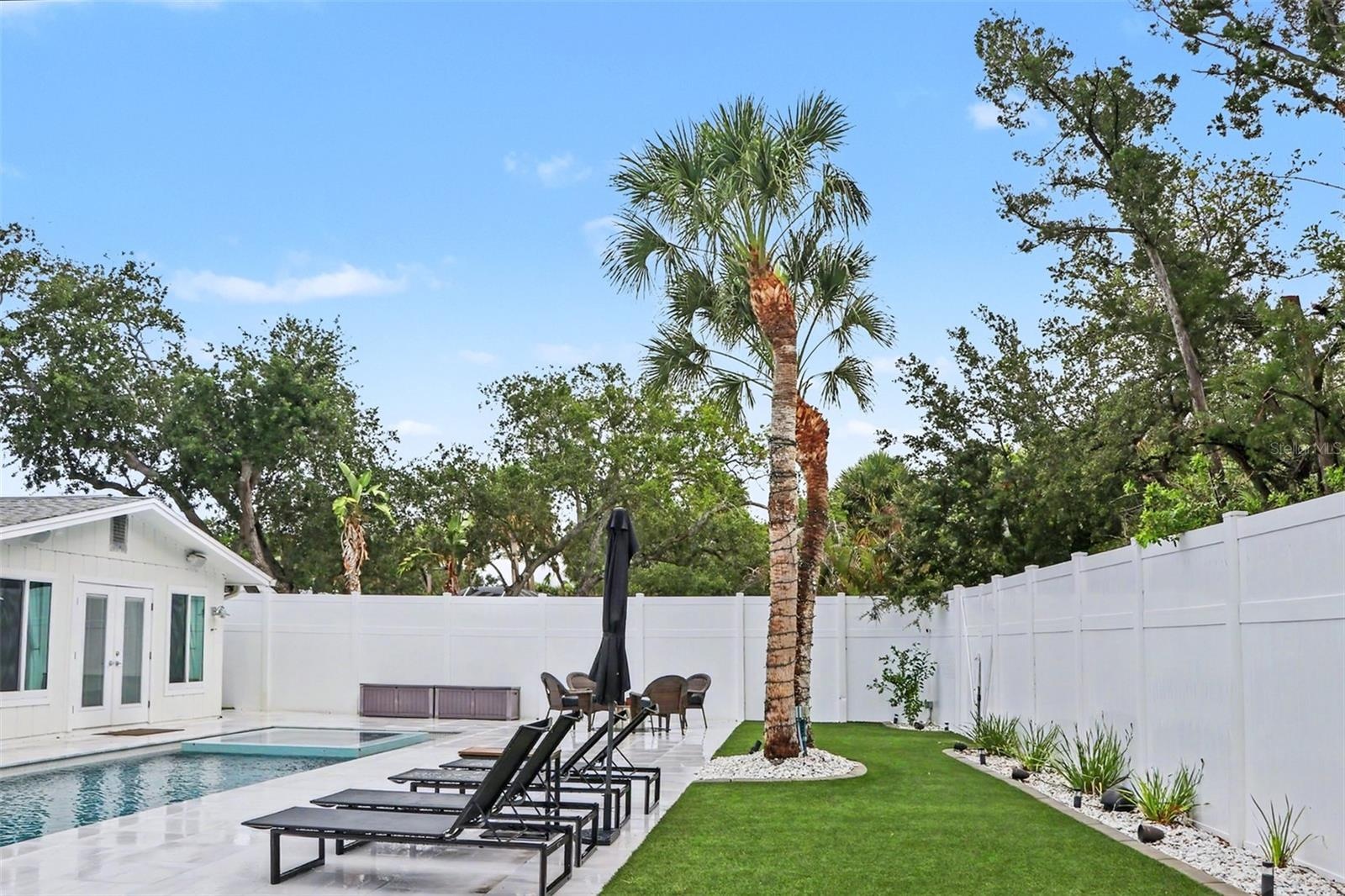Backyard 1