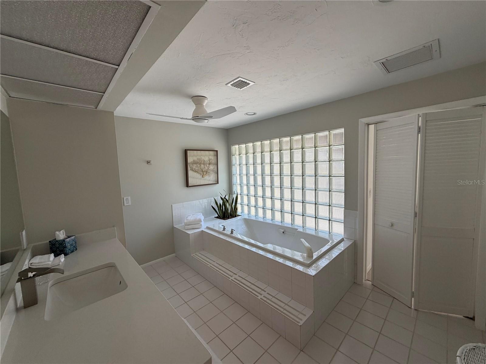 Primary bedroom's Lady's bath has really natural lighting