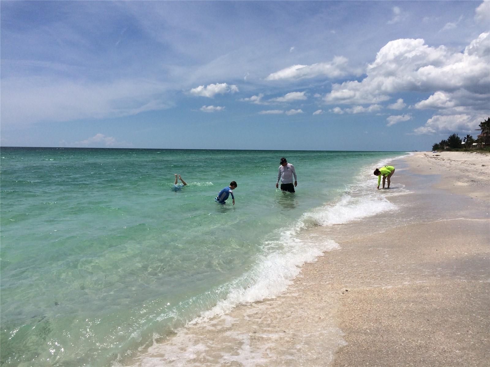 Summer beachcombing