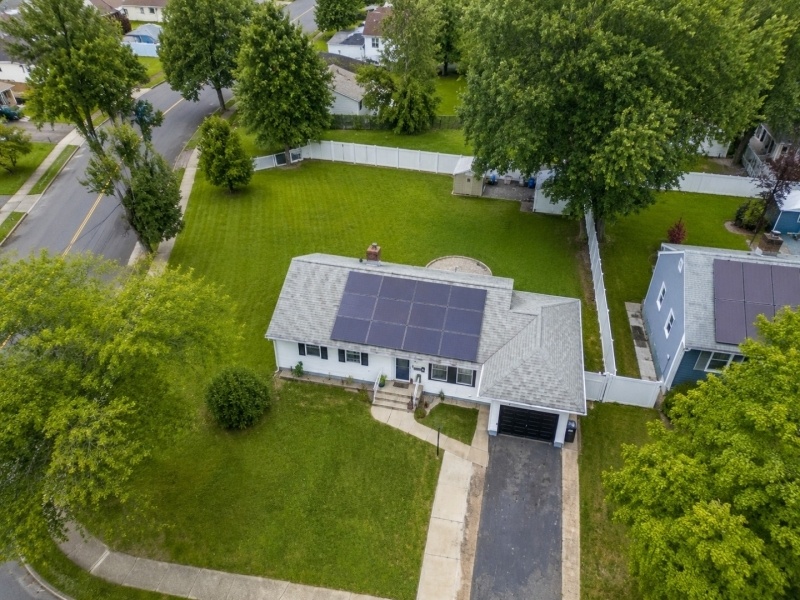 AI BIRD VIEW