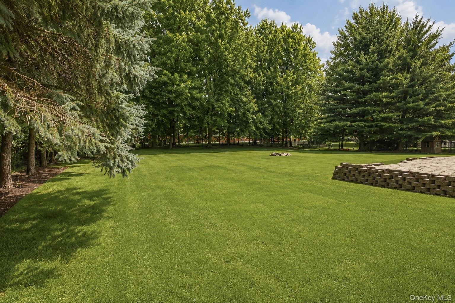 beautiful level yard bring your ideas to life.