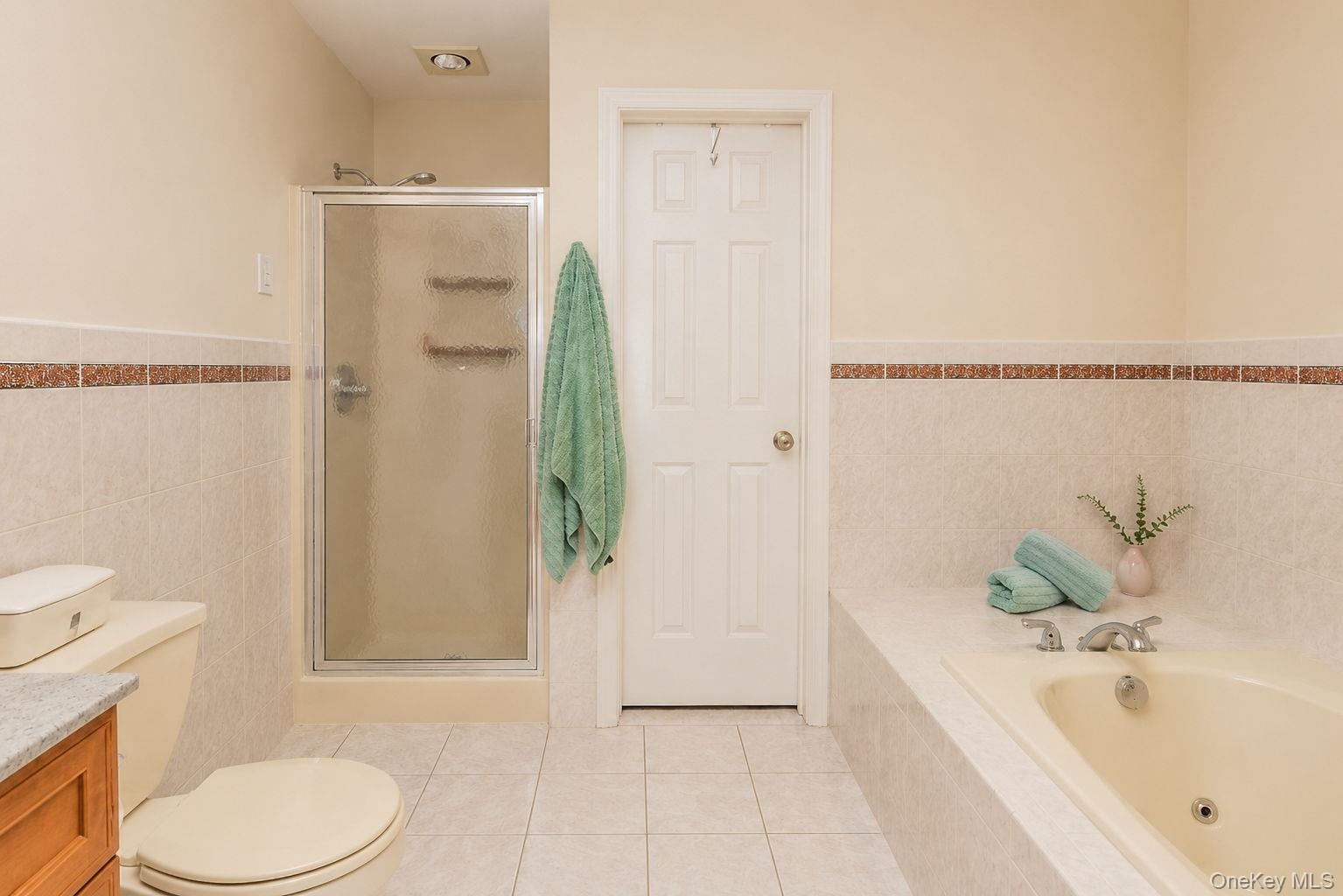 with a jacuzzi tub