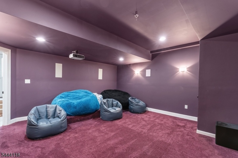 movie room