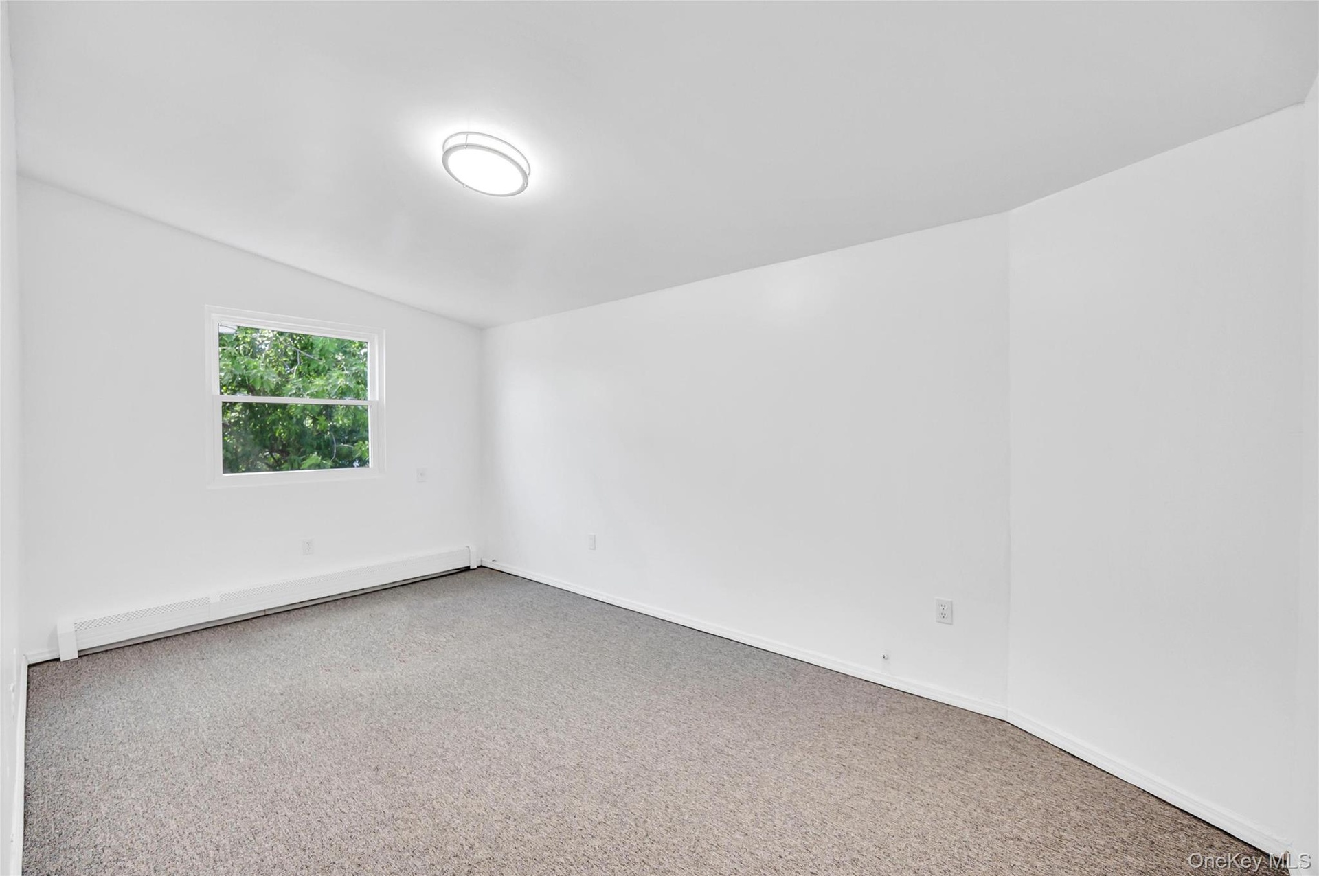 Bright room featuring neutral carpeting and white painted walls