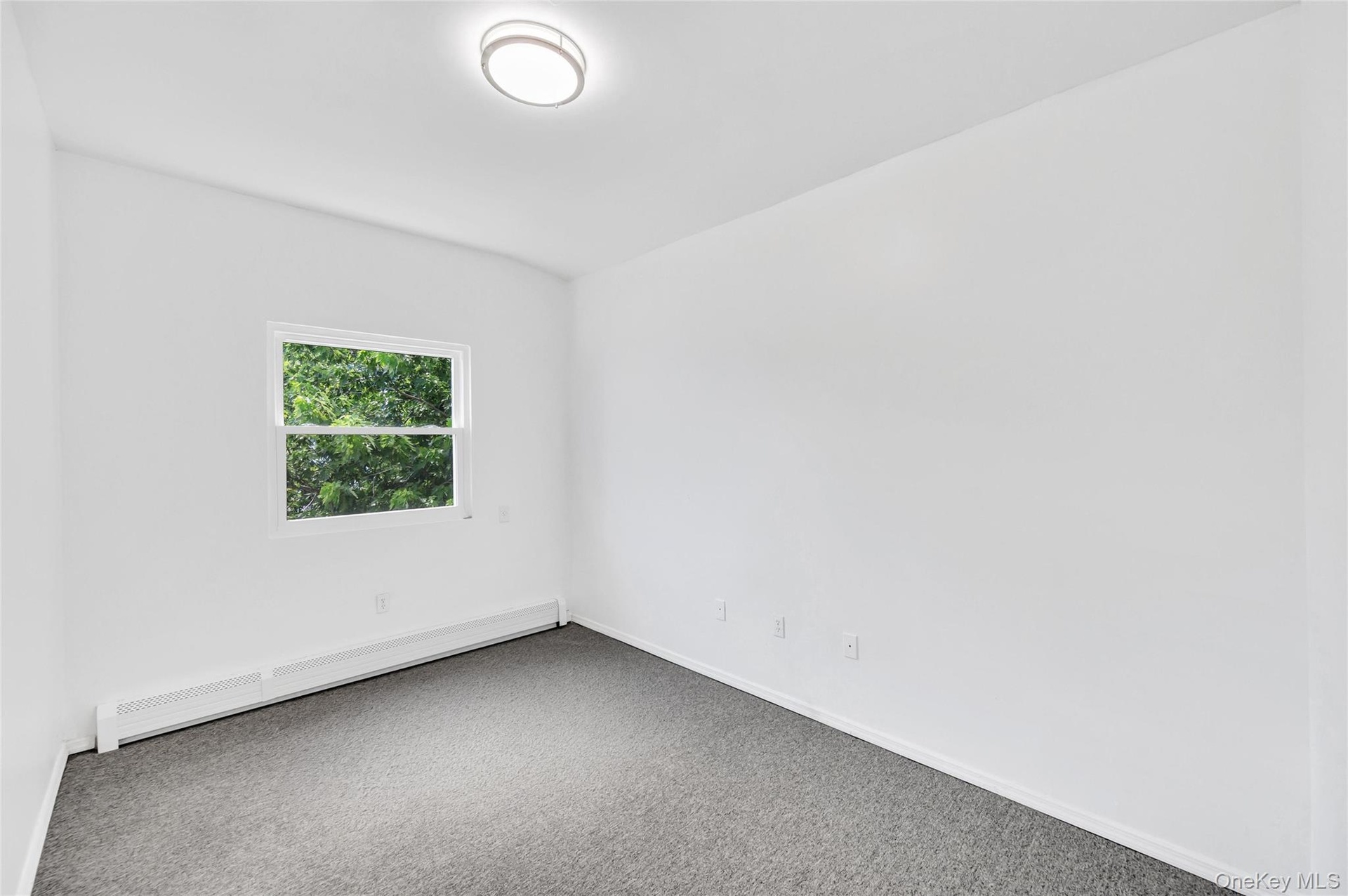 Room featuring a single window, grey carpet, white walls, and a ceiling-mounted light fixture