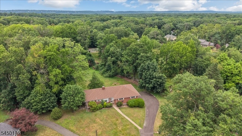 Drone view of property