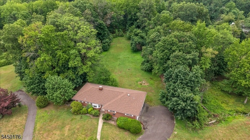 Drone view of property