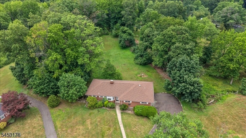Drone view of property
