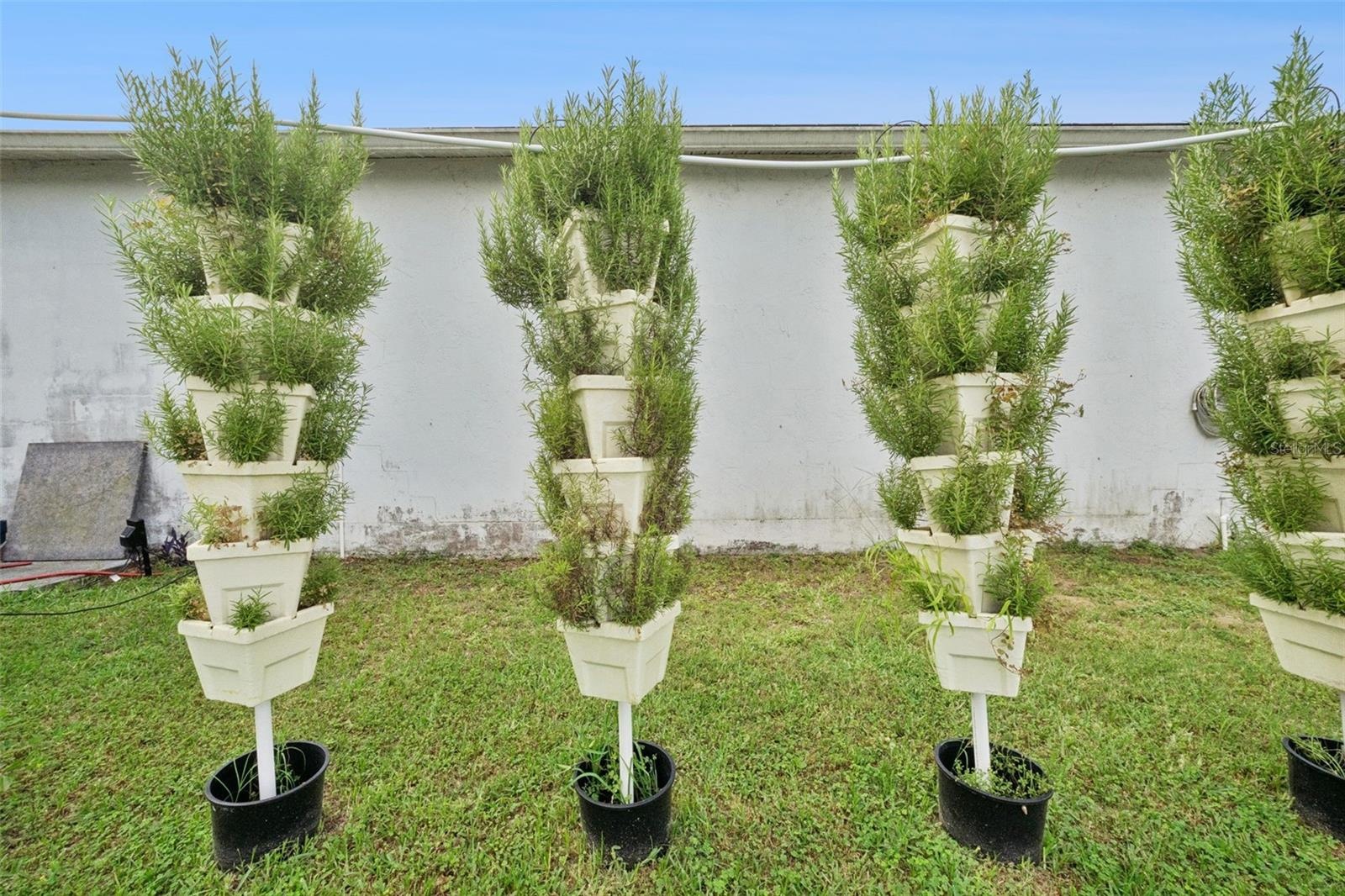 Hyrdoponic tower growing