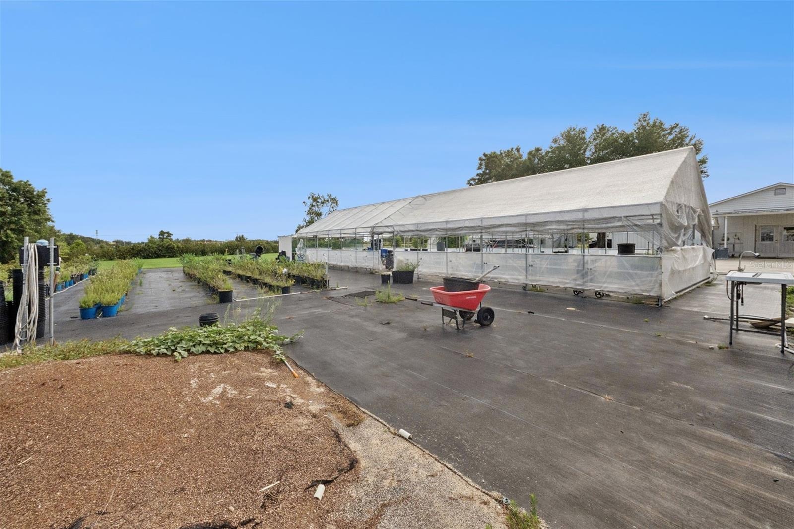 Greenhouse and field growing