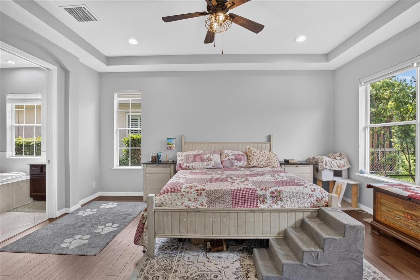 Master Bedroom DS