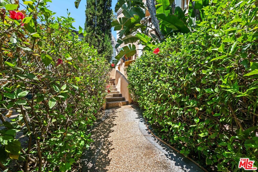 Front Walkway
