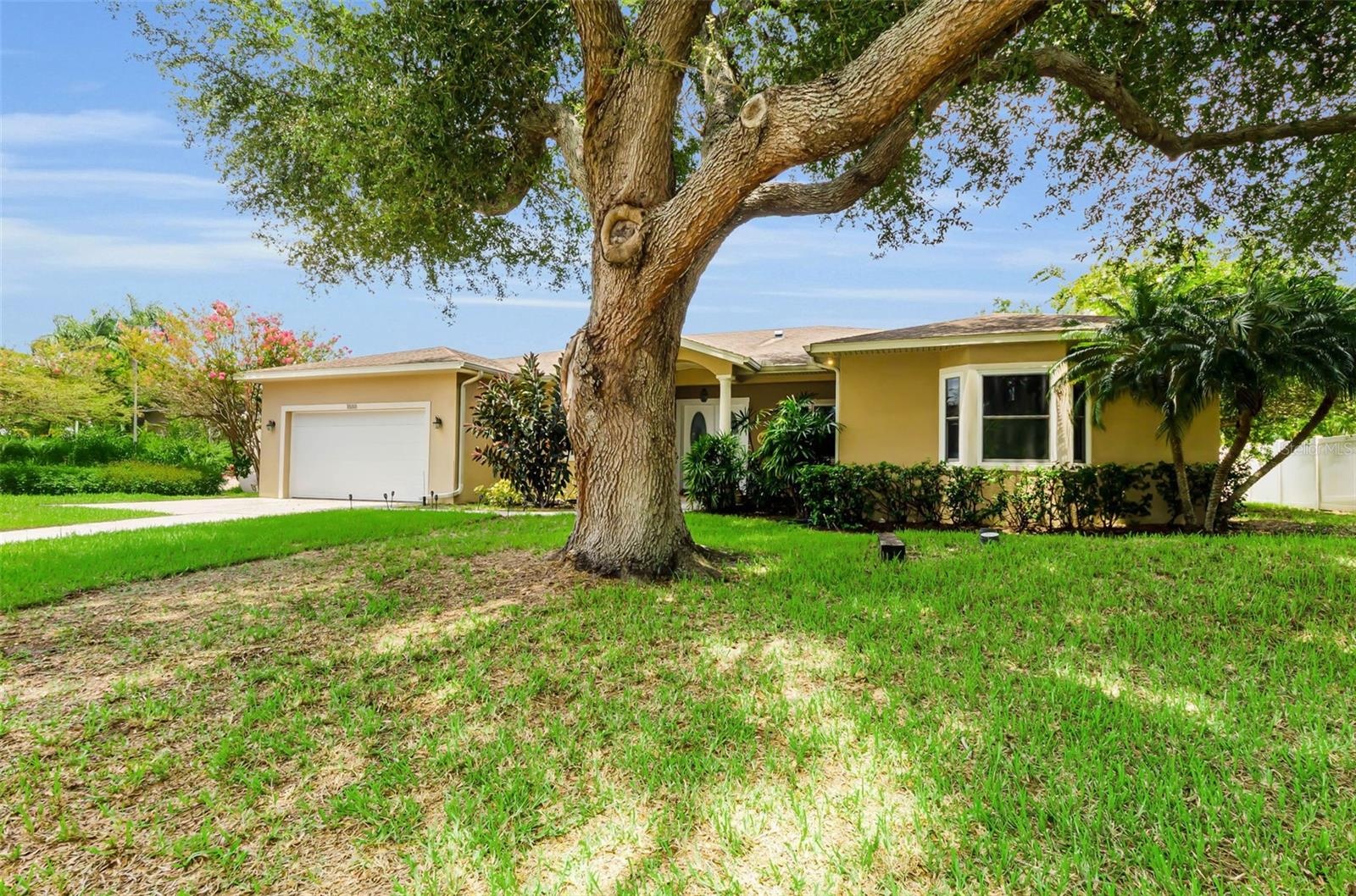 CITY OF CLEARWATER NATURAL GAS FOR HEAT, STOVE, FIREPLACE AND DRYER!