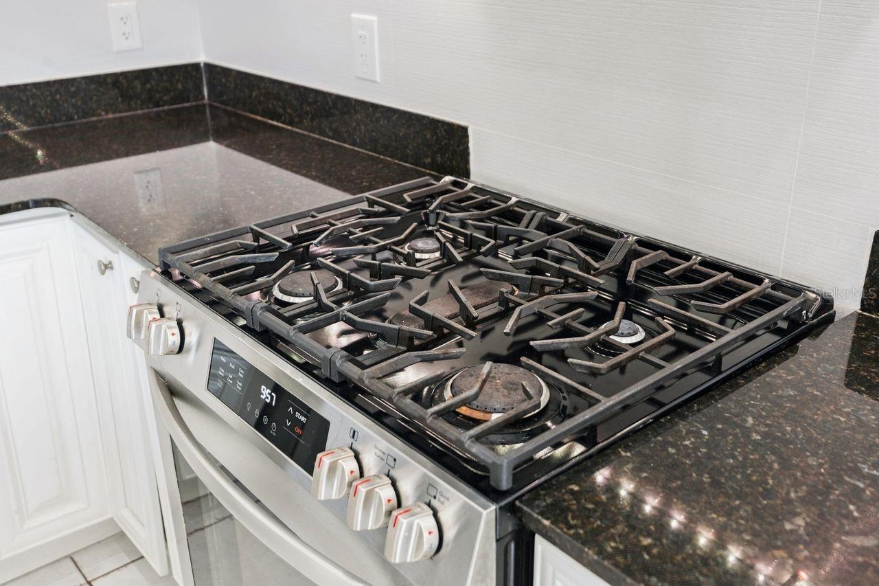 Gas Range