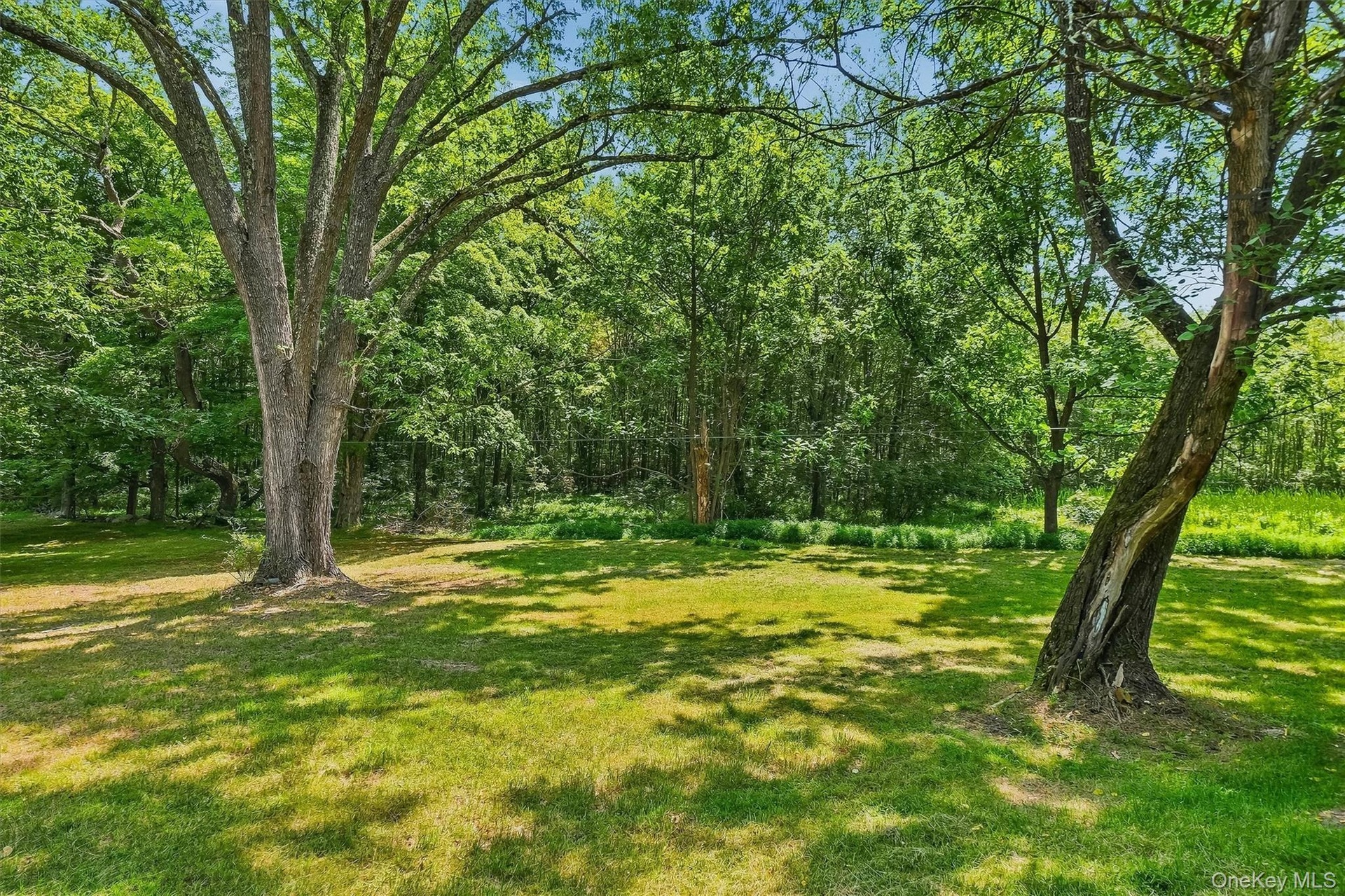 Flat yard with mature trees