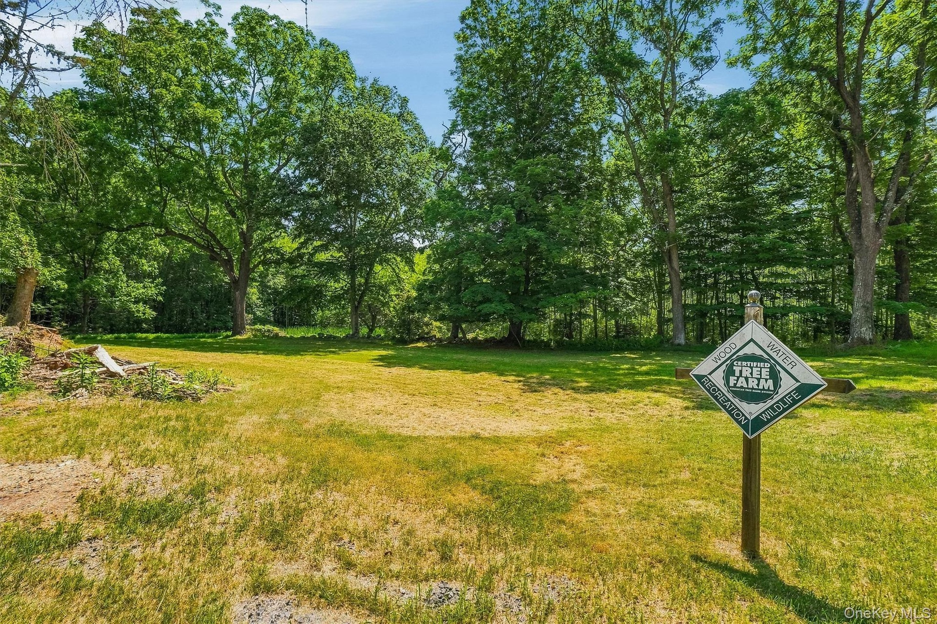 The property is a Certified Tree Farm as part of the American Tree Farm System
