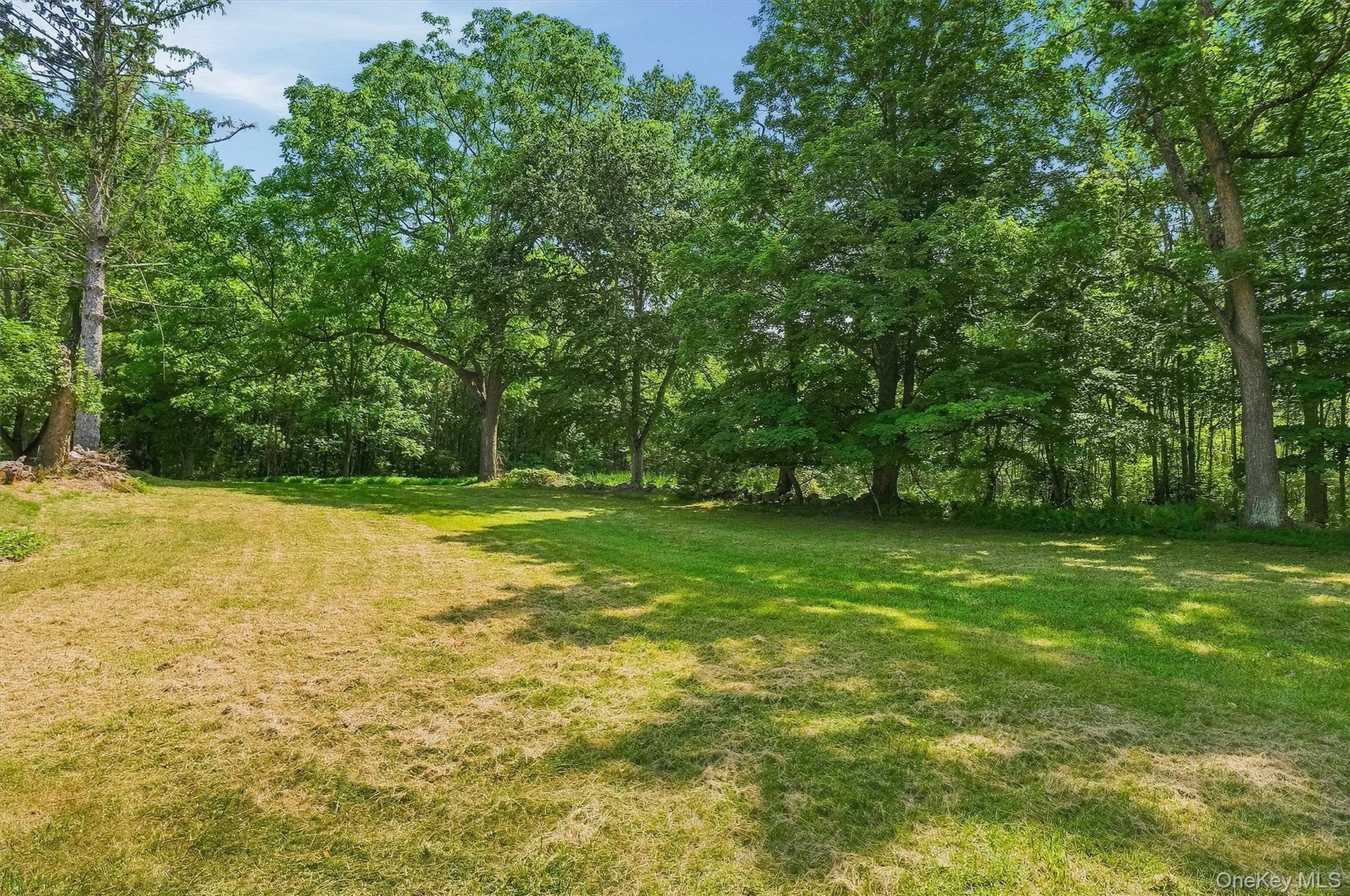 So much space to do outdoor activities like a firepit under the summer stars