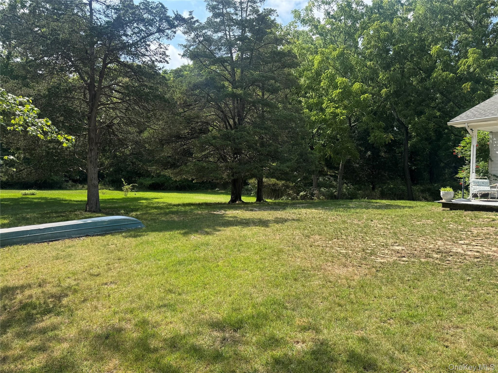 Beautiful Woods with mature trees and plantings