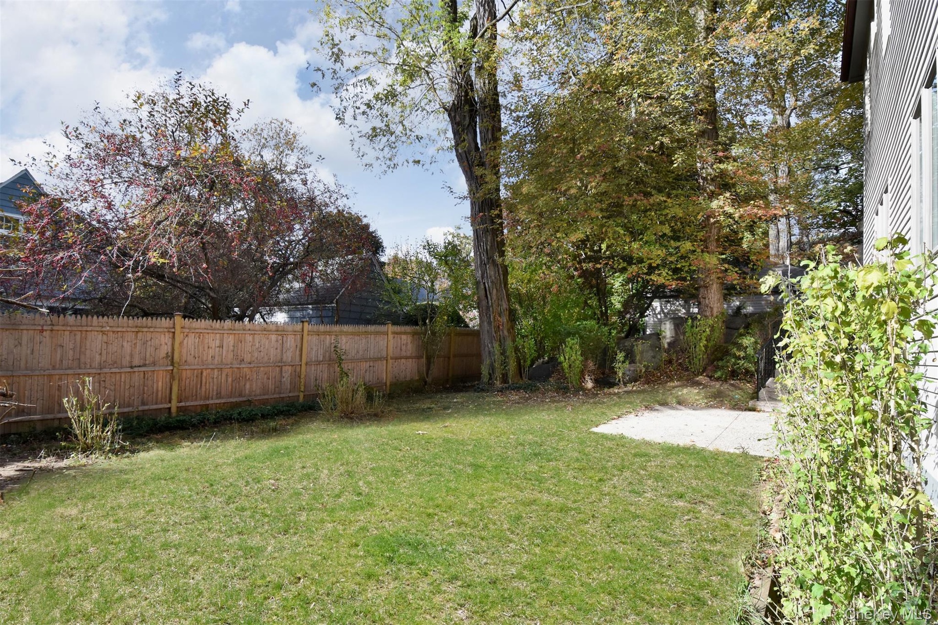 View of yard with a patio area