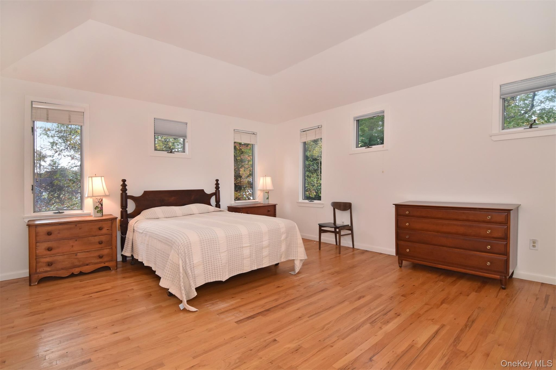 Bedroom featuring tray ceiling and 4 closets