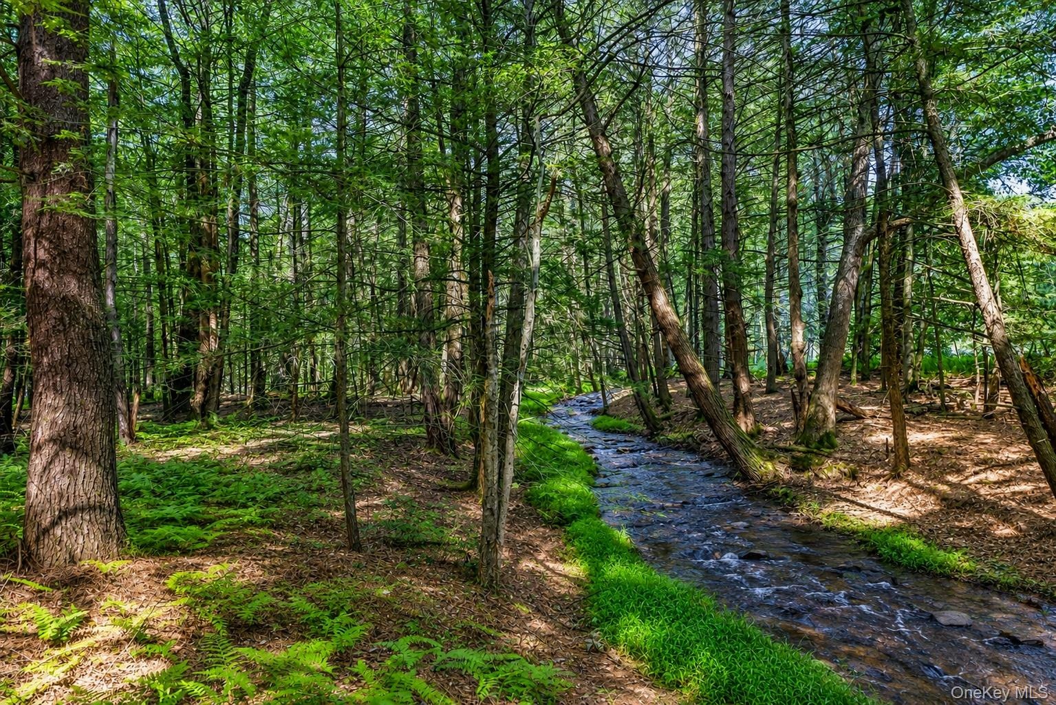Stream