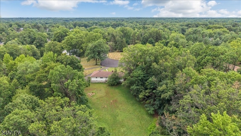 Drone view to back