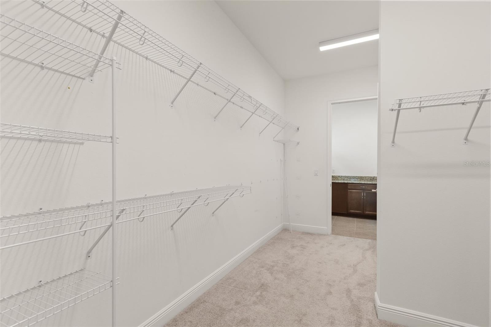 Primary closet downstairs