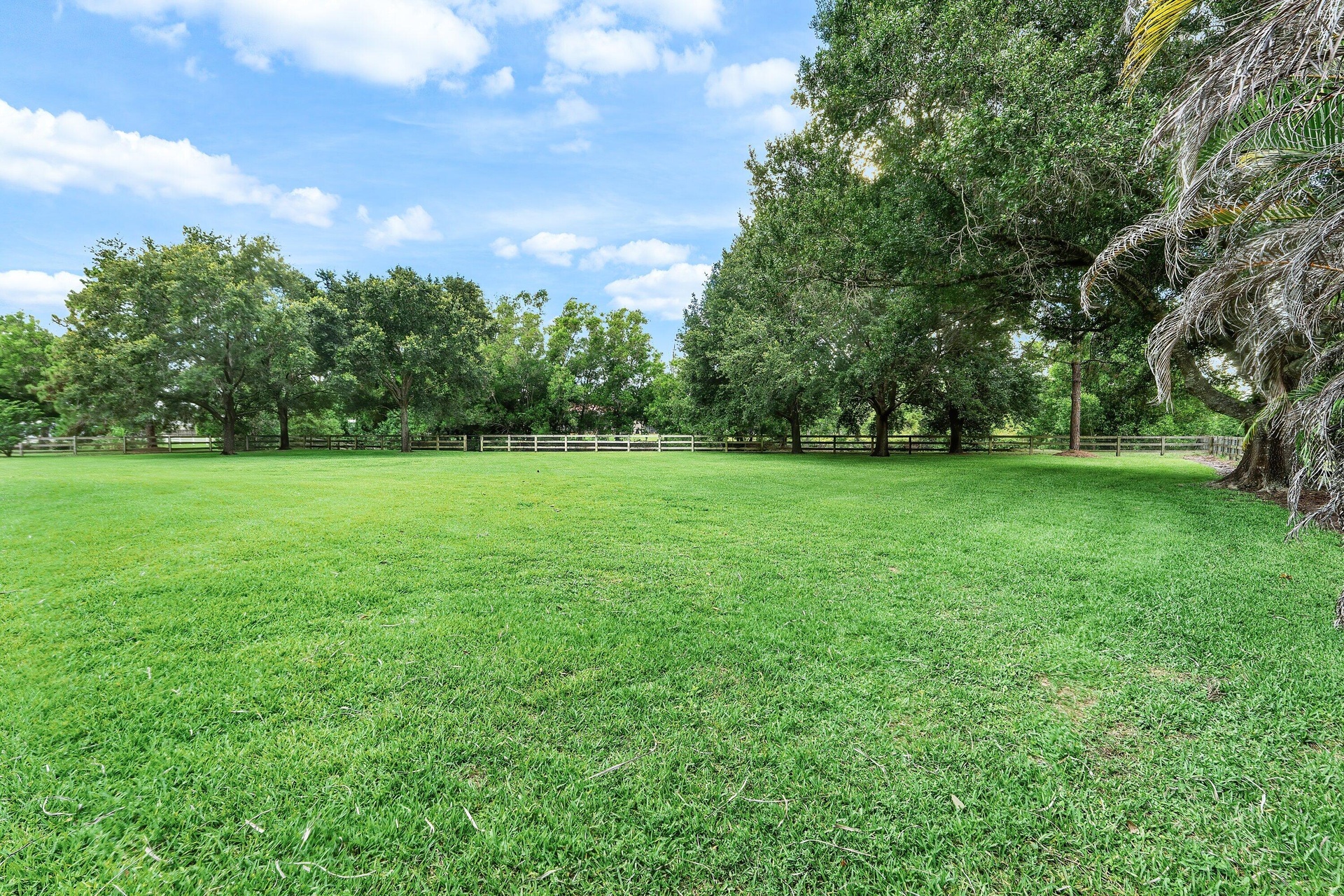 Nearly 2 acres of land