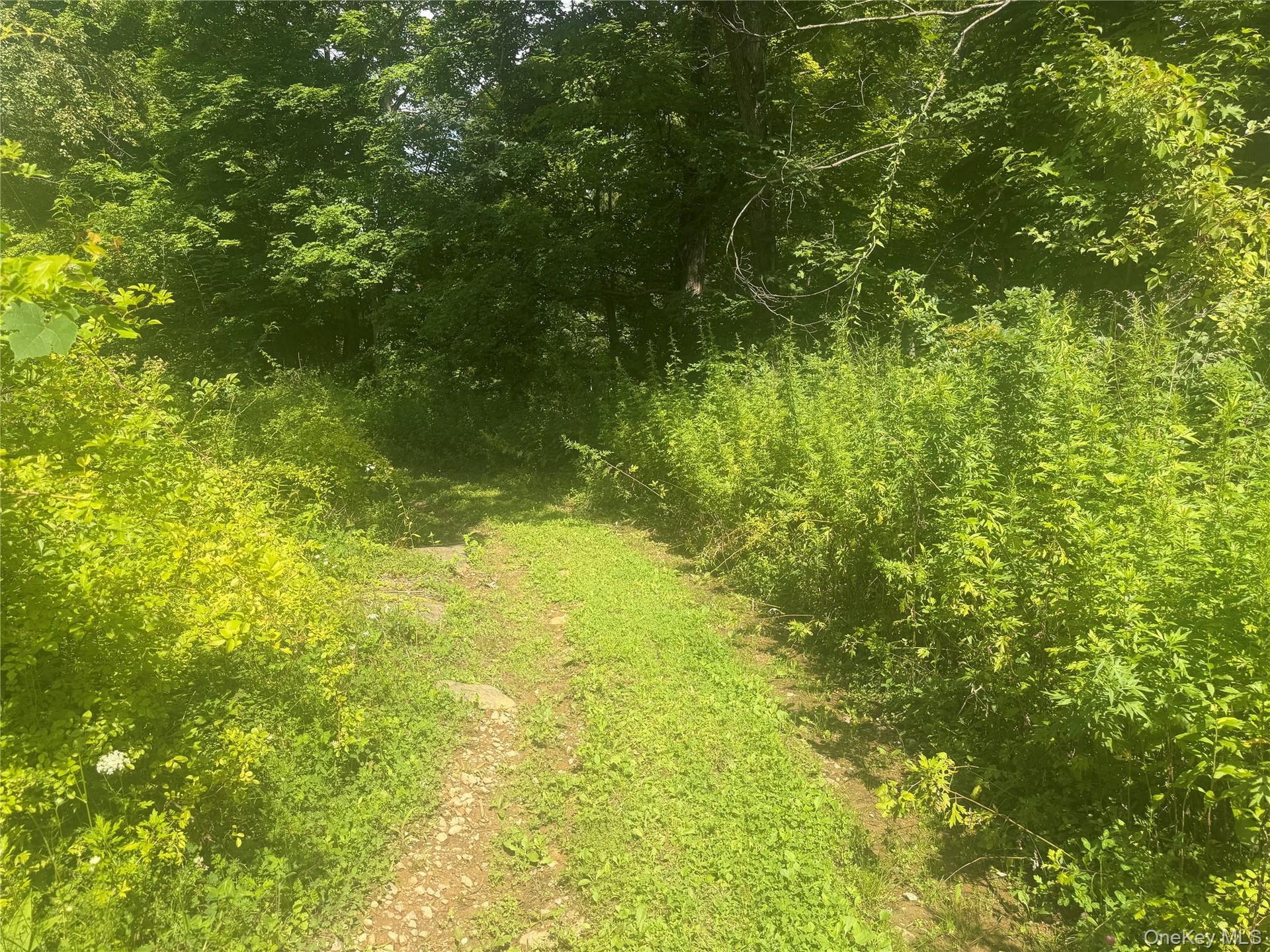 Walking path